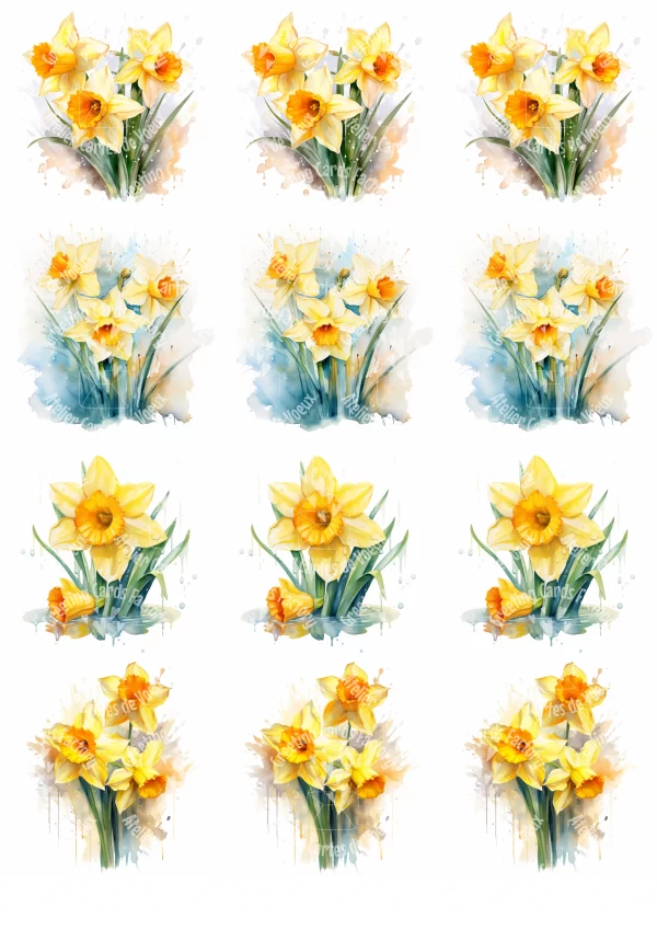 Planche d'étiquettes-cadeau Jonquilles